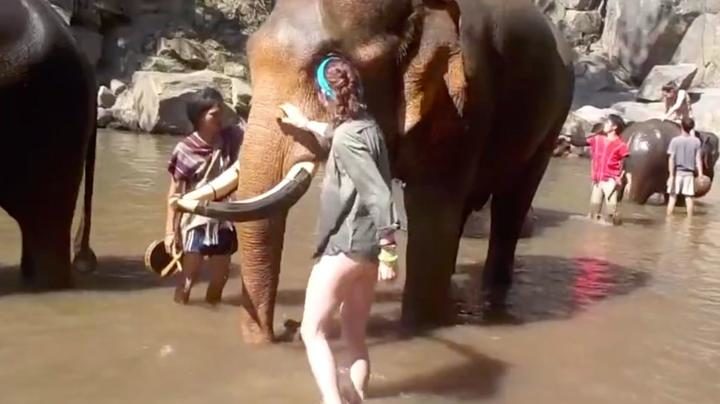 ELEPHANT WASH
