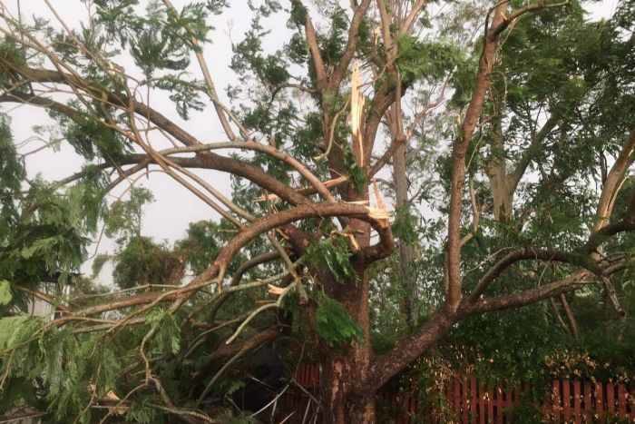 Click to enlarge Toogoolwah storm damage