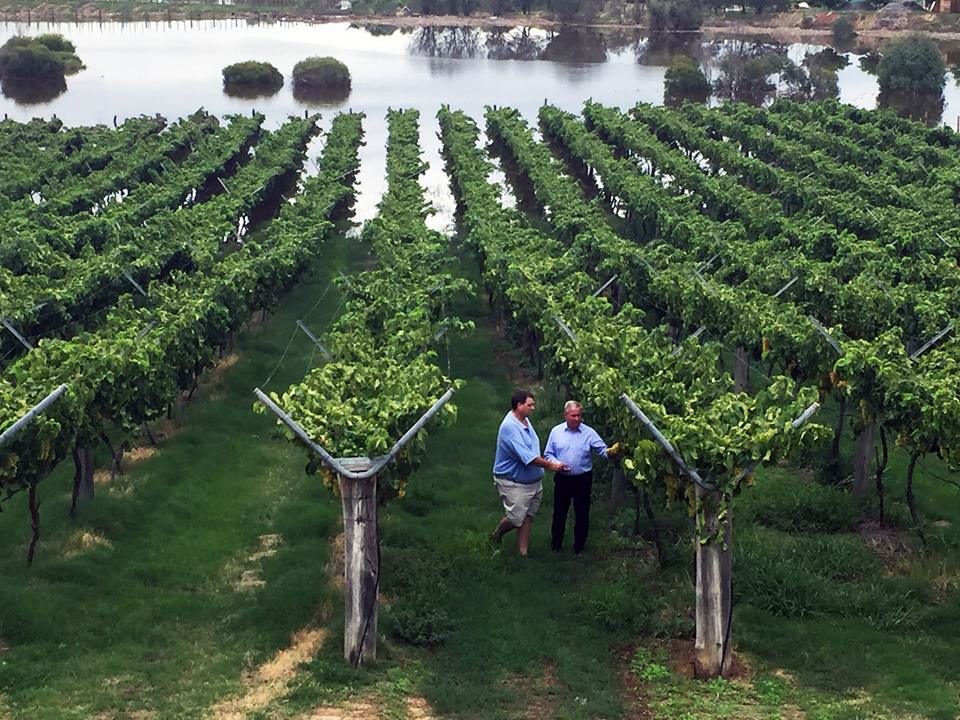 Grape crops in Western Australia have suffered