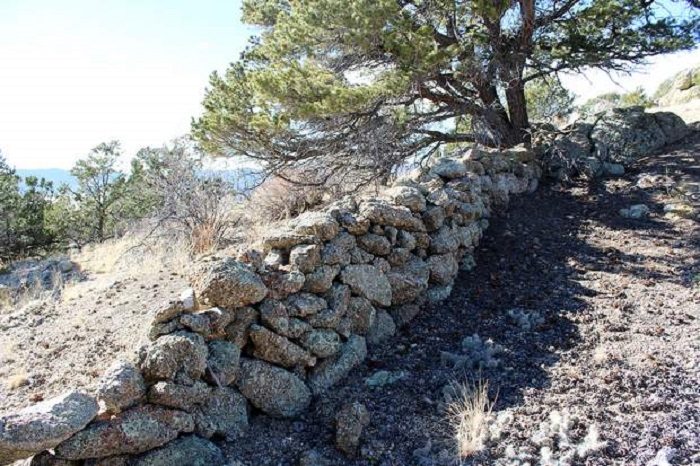 Snake Park_Saguache