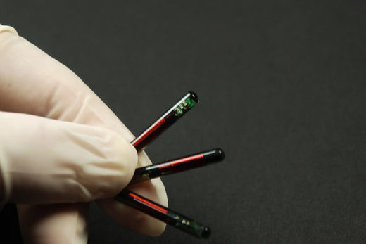 Microchip