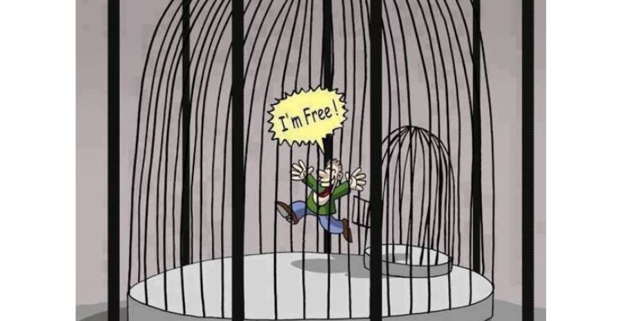 freedom in a cage