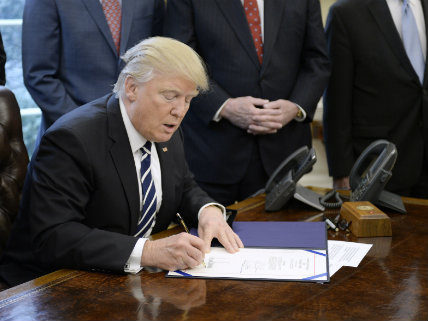 Click to enlarge Trump in White house