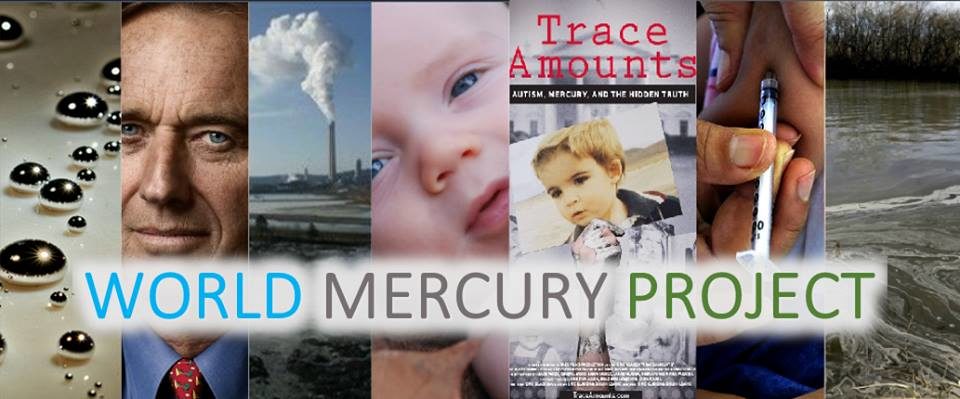 World Mercury Project