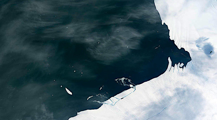 Pine Glacier