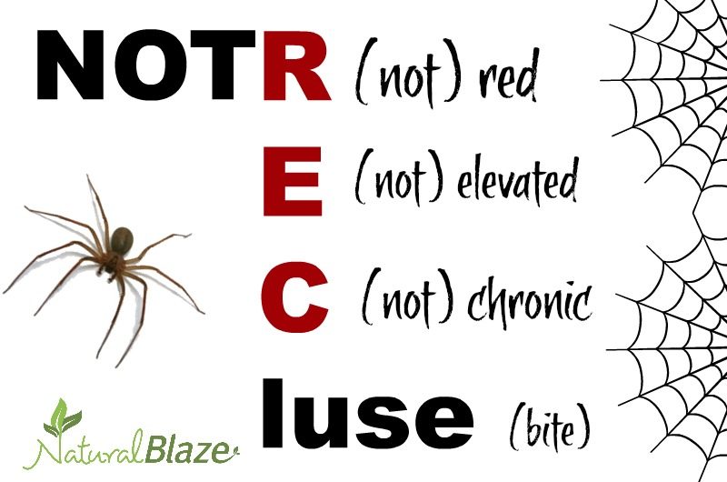 Click to enlarge brown recluse spider mnemonic