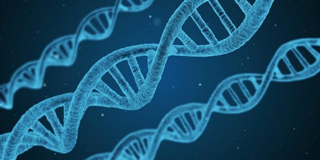 DNA string