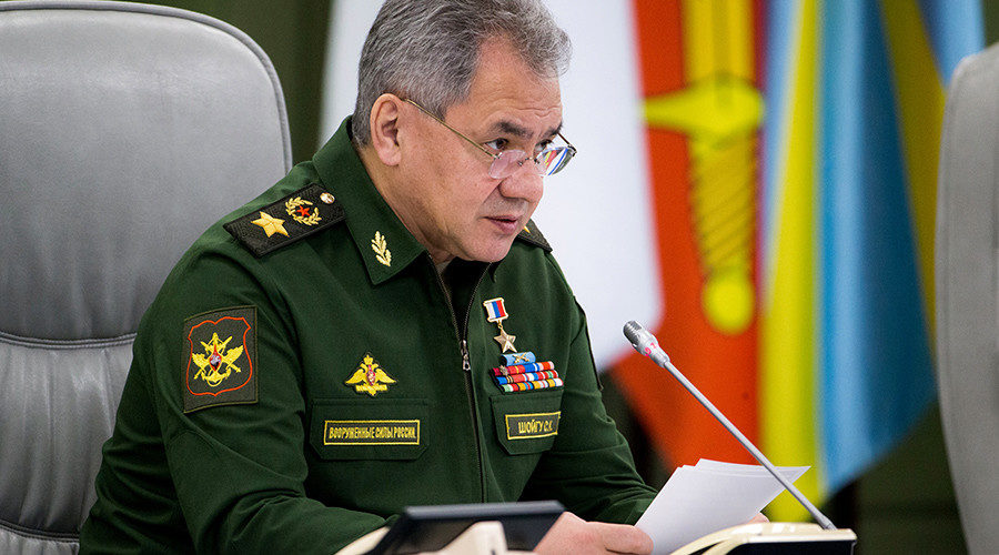 Defense Minister Sergey Shoigu 