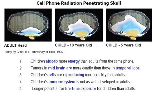 cell phone radiation children