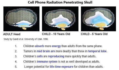 Click to enlarge cell phone radiation children