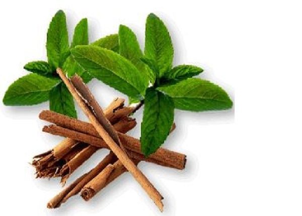 peppermint and cinnamon