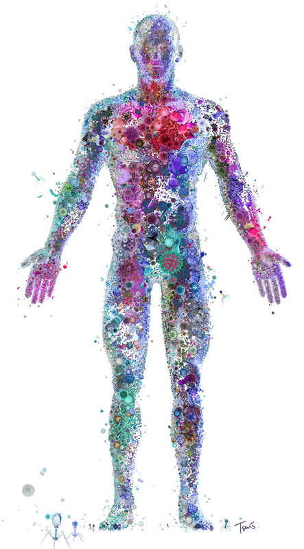 Click to enlarge microbes