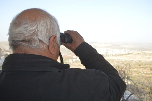 Click to enlarge Fathy Shebana