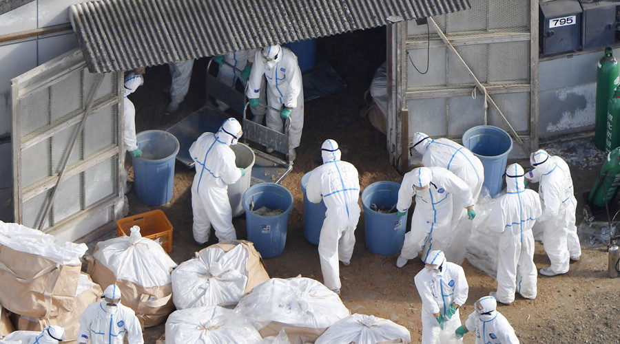 Click to enlarge china bird flu