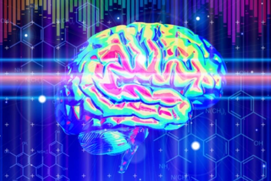 Click to enlarge EMF brain