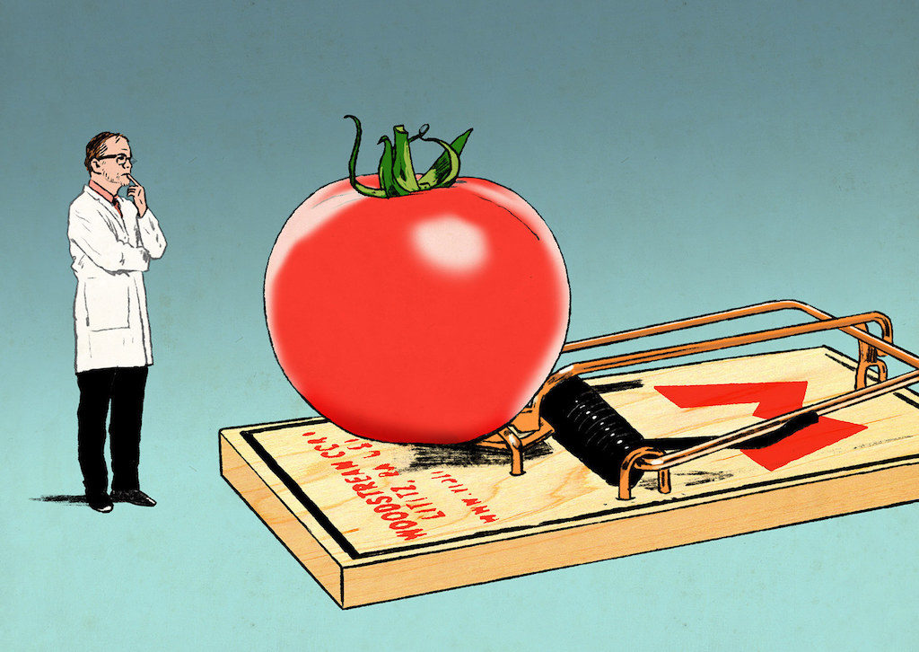 GMO science