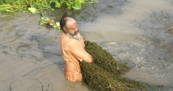 Click to enlarge Eco Baba clens kali bean river