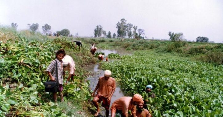 Click to enlarge Kali bein river