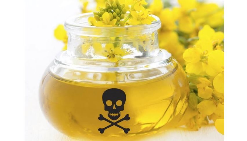 poisonous canola oil