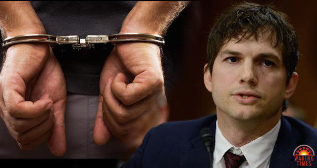 kutcher testify trafficking