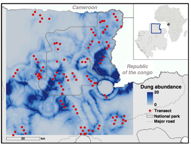 Click to enlarge decline african elephants
