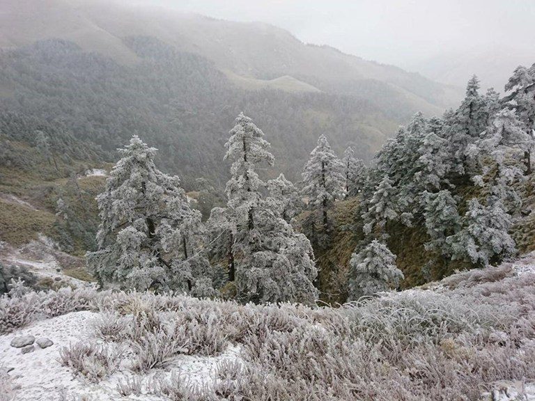 'Freezing frost' at Hehuanshan, Taiwan