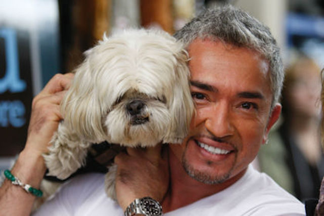 Click to enlarge Cesar Milan with Tazo