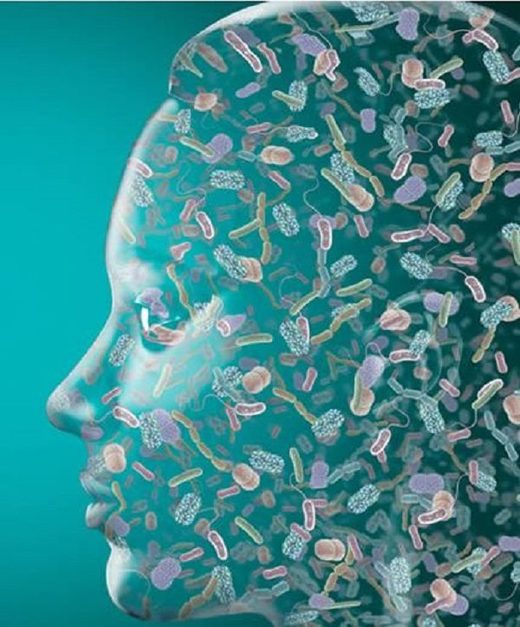 beneficial bacteria