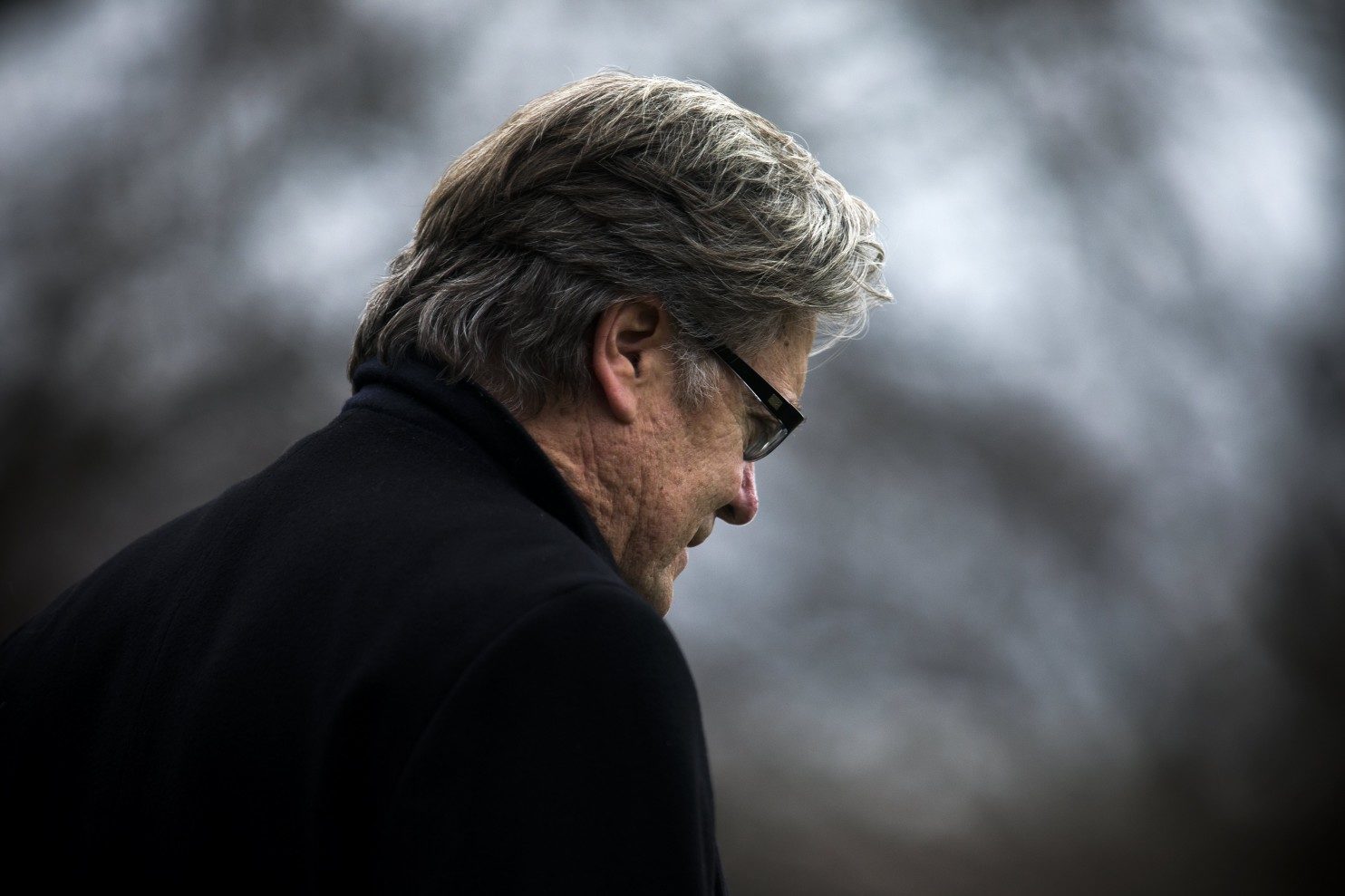 steve bannon
