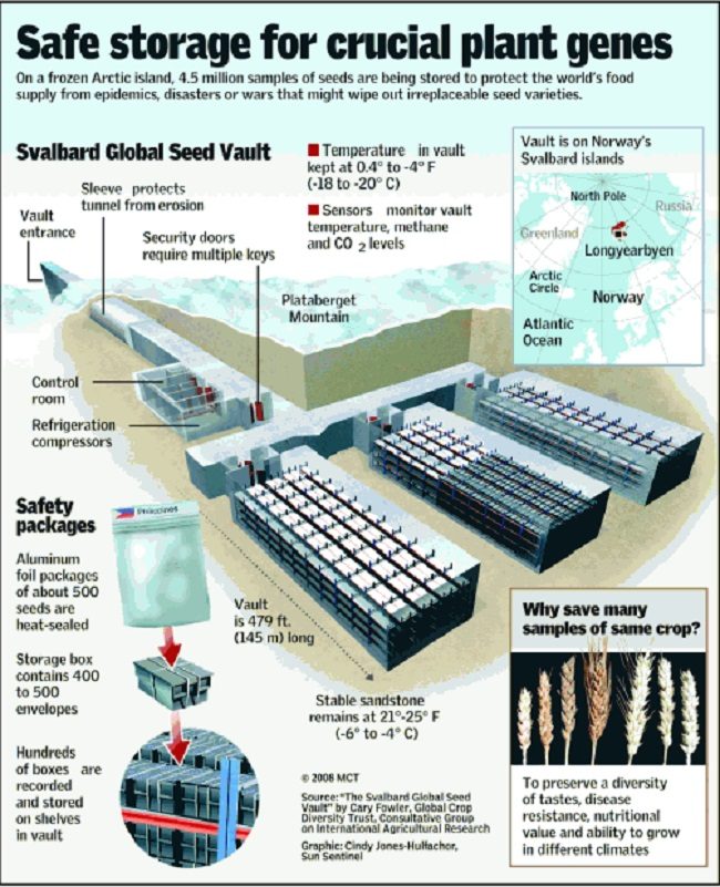 Click to enlarge Seed Vault