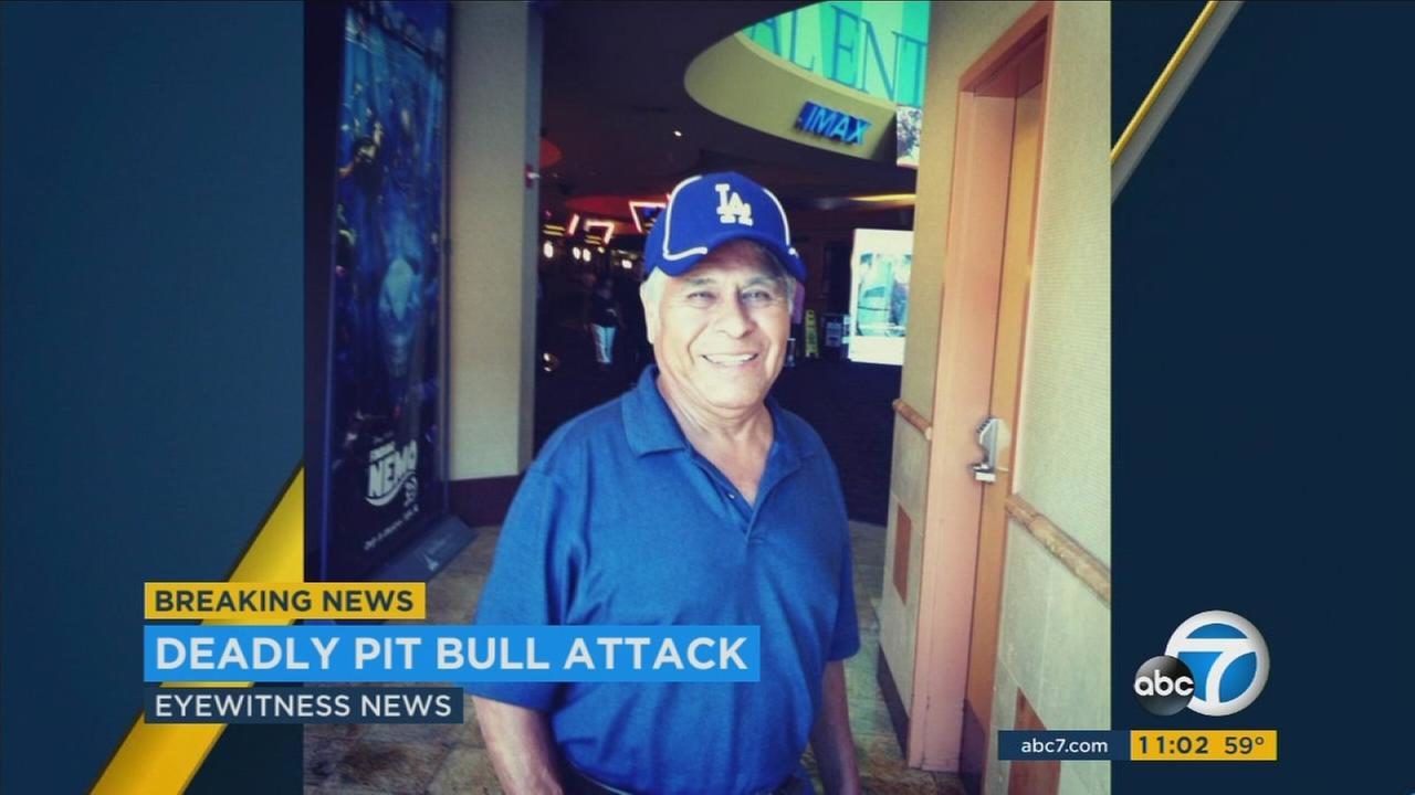 Valentine Herrera, 76, was rushed to the hospital in critical condition after being attacked by two pit bulls in Lincoln Heights on Thursday, Feb. 2. 