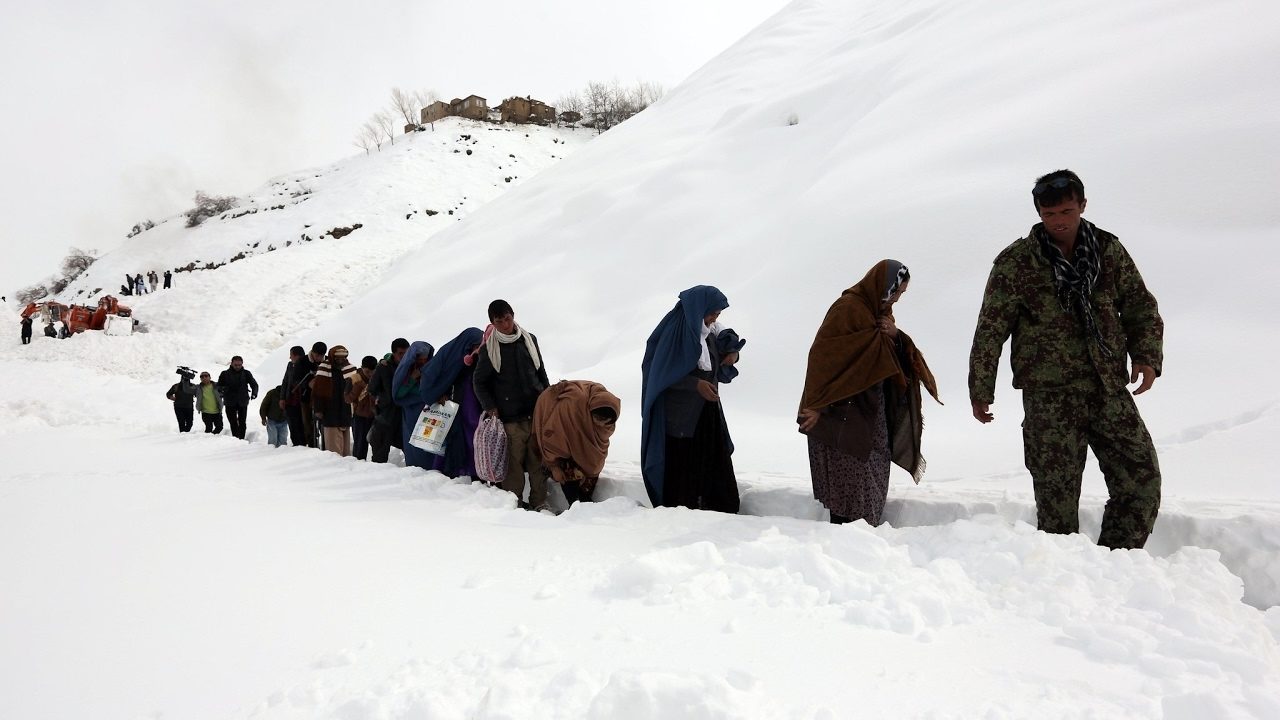 snow walkers