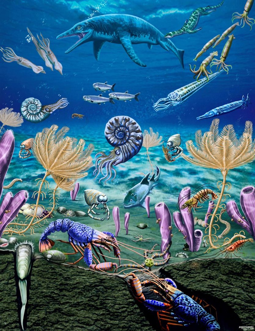 Early Triassic marine ecosystem