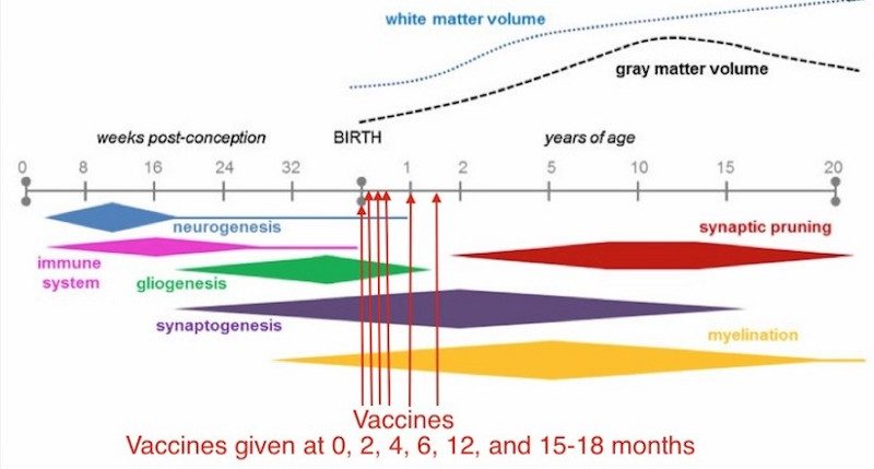 Click to enlarge vaccine timing chart