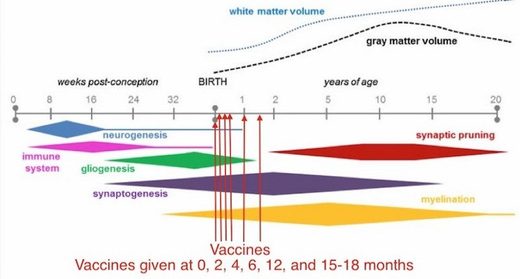vaccine timing chart