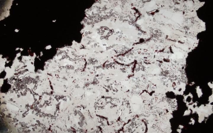 Click to enlarge world's oldest fossils quebec canada