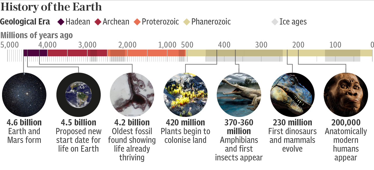 Click to enlarge Geological history timeline