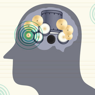Click to enlarge Music brain reward circuits