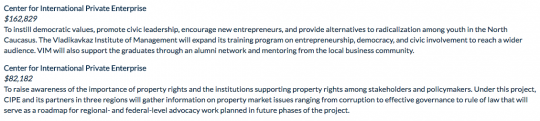 National Endowment For Democracy Russia