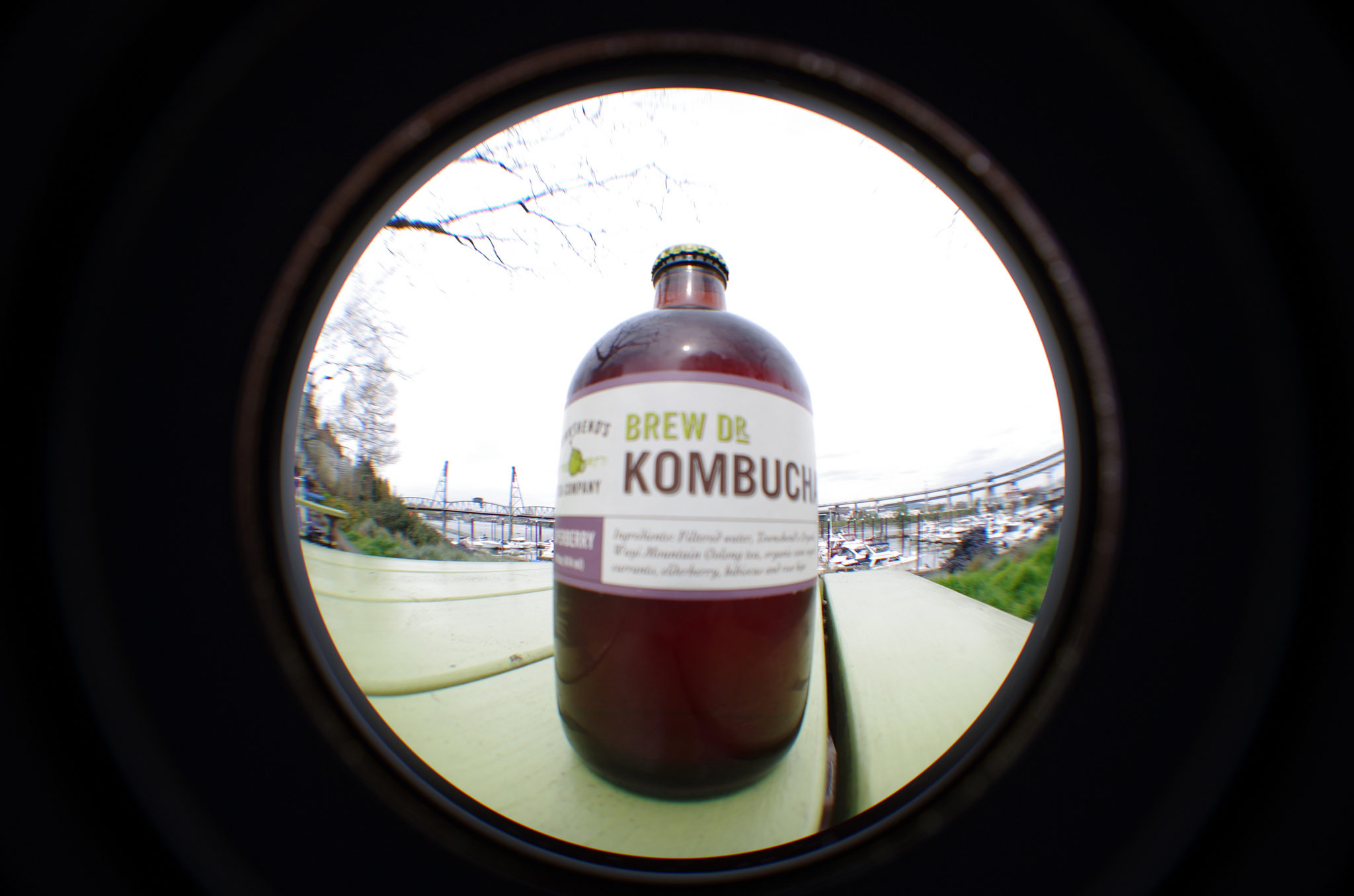 Click to enlarge kombucha