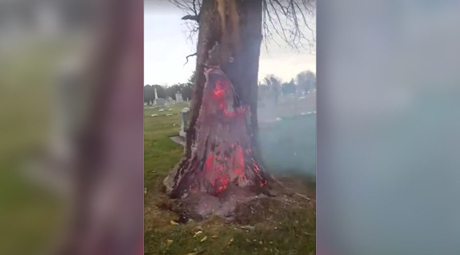 burning tree