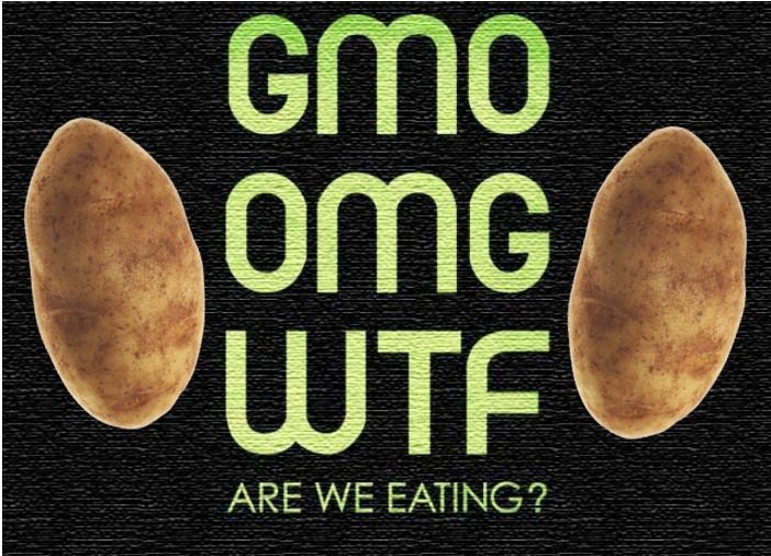 Click to enlarge GMO potatoes