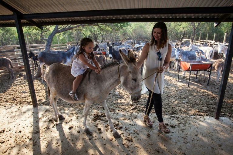 Click to enlarge Riding a Donkey