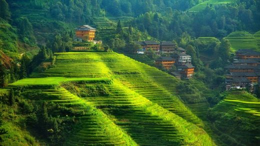 Click to enlarge Chineese landscape