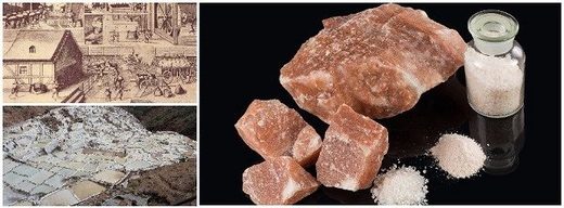 "The salt of the earth": A precious commodity throughout history