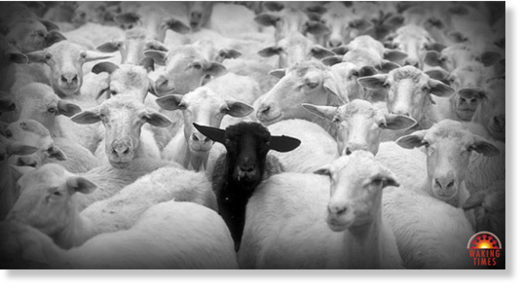 Herd immunity