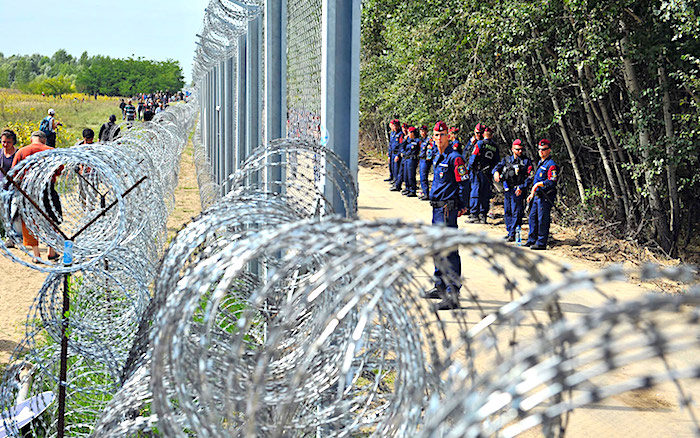 Click to enlarge Hungarian fence