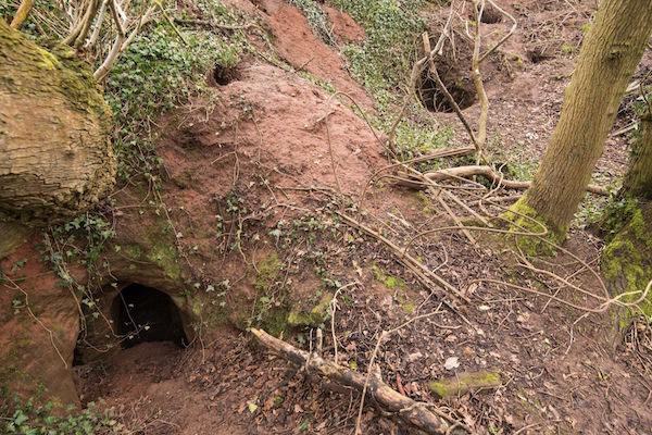 Click to enlarge knights templar cave