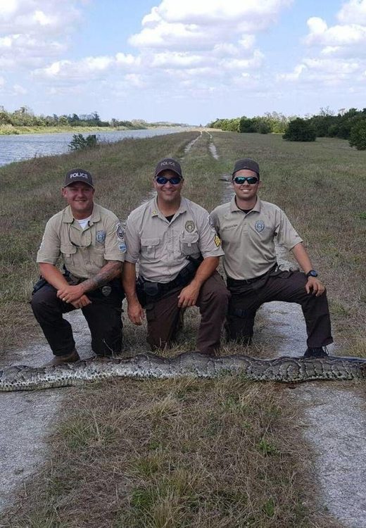 Florida Python hunter Bales Najera Del Los Santos Burmese python