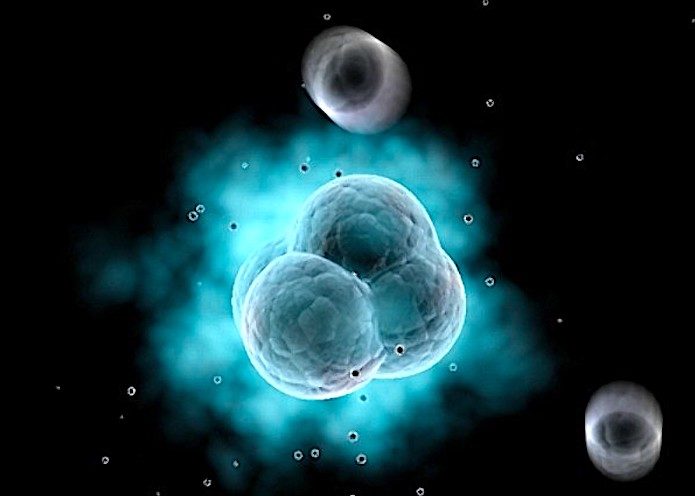 an atom